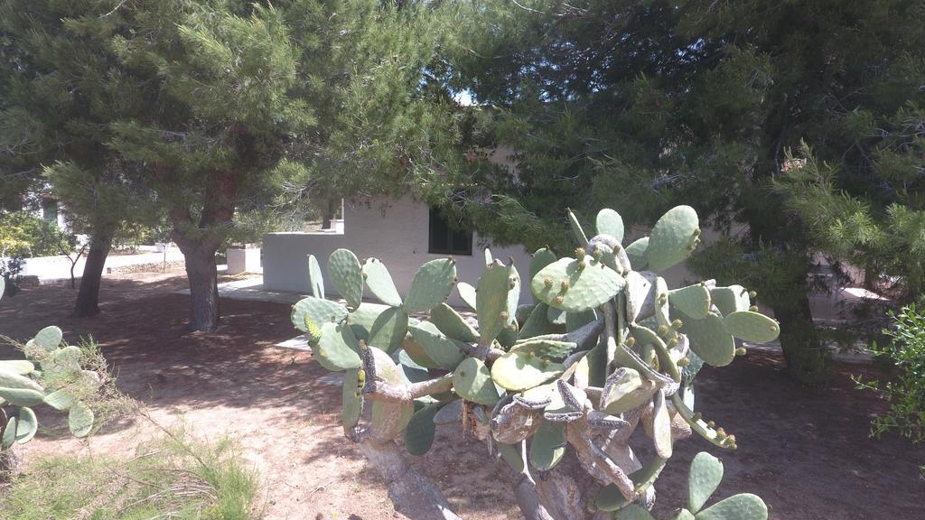 Appartamenti in villa Senia Favignana Esterno foto